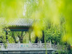 -济南大明湖景区