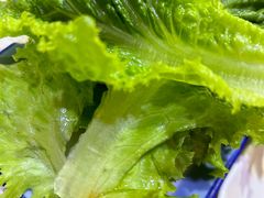 -平山城鑫烧烤(建国楼店)