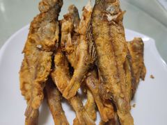 -煲来饱去冷水鱼
