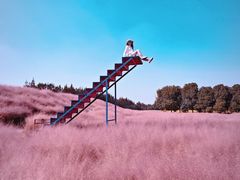 -嘉北郊野公园