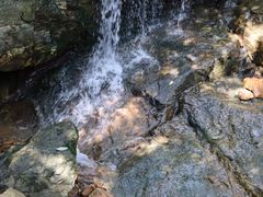 -兴福老面馆(寺路街店)