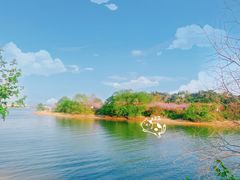 -福建鲤鱼洲酒店