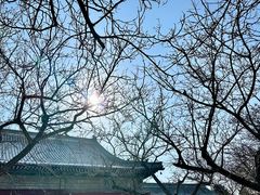 -隆兴寺