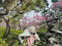 -杭州植物园