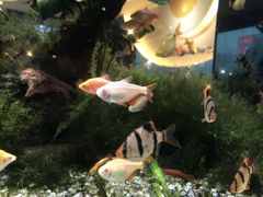 -大家乐(佛山南海店)