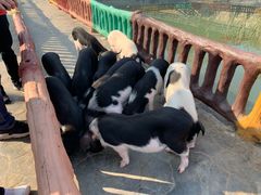 -湖南湘都生态农业园