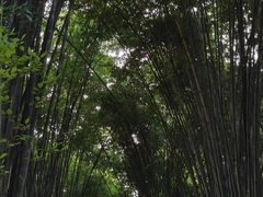 -成都杜甫草堂博物馆