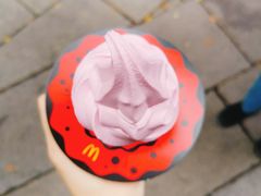 西班牙红提华夫筒-麦当劳(南后街店)