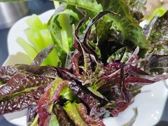 -野菌皇海景野生菌火锅(滨海大道店)