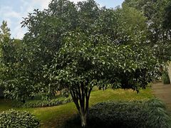 -西溪天堂·悦居