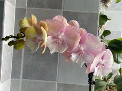 -南宁时代电影大世界(CGS激光中国巨幕)