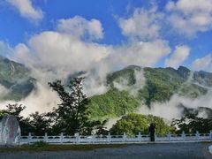 -牛背梁国家森林公园