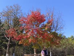 -长春世界雕塑园冰雪艺术天地