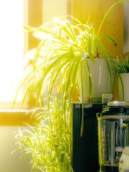 -Oasis Beauty水磨坊科技美肤中心