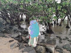 -宝安西湾红树林湿地公园