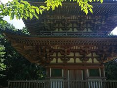 -醍醐寺