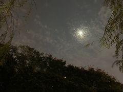 -武昌江滩