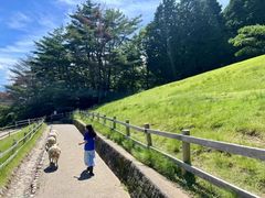 -神户市立六甲山牧场