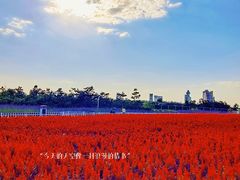 -烟台金沙滩海滨公园