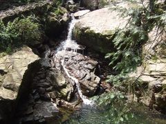 -安吉龙王山风景区