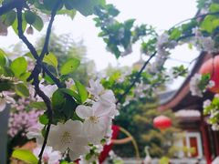 -大唐博相府酒店·陕西官府菜