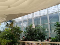 -大树餐厅(红旗街万达店)