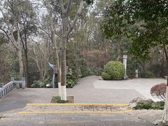 -云龙山