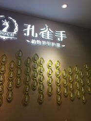 -孔雀手美甲美睫护理