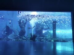 -波塞冬海底世界