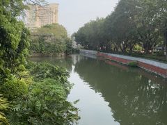-荔湾湖公园