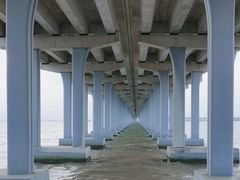 -宝安西湾红树林湿地公园