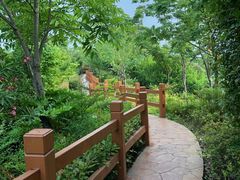 -吴淞炮台湾湿地森林公园烧烤区