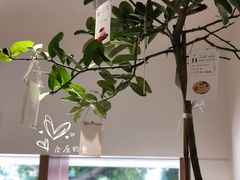 -Oasis coffee燕谷咖啡(公信店)