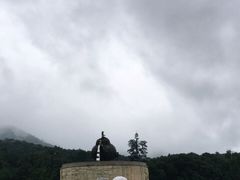 -龙坞茶村