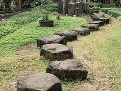 -海口火山口国家地质公园