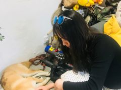 -About Bistro關於·泰式家庭料理