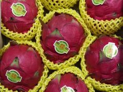 -上海龙吴水胜海发市场