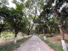 景点-燕晗山郊野公园