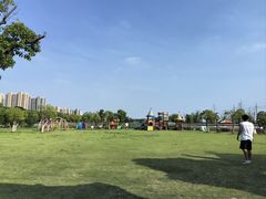 -菊园百果园