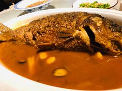 -阿五黄河大鲤鱼(纬三路店)