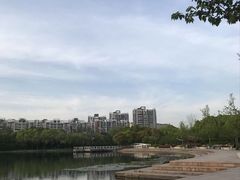 -新江湾城公园