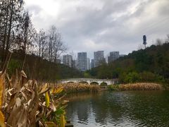 -重庆彩云湖湿地公园