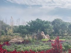 -长春公园(普阳街道)