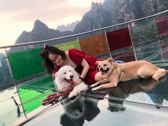 -十渡东湖港风景区