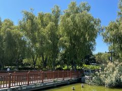 -莲花池公园