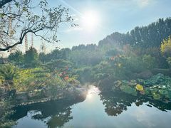 -静之湖湖畔餐厅