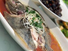 -阿英煲(凉城路店)