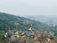 -树山生态村