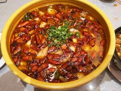 -陈麻婆豆腐总店