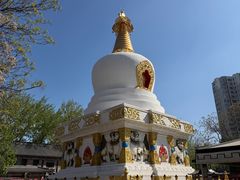 -护国法轮寺